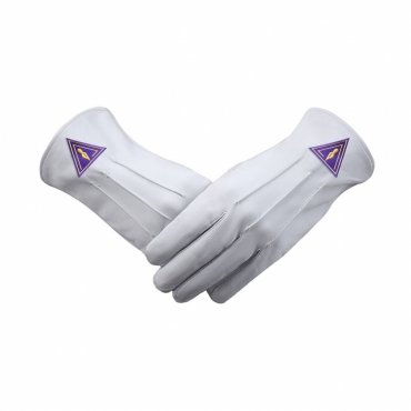 Royal & Select Masters English Regulation Gloves - Leather With Purple Patch