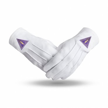 Royal & Select Masters English Regulation Gloves - Pure Cotton With Purple Patch