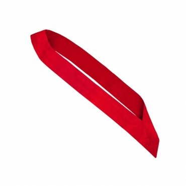 Architect Allied Masonic Degrees Sash - Red Ribbon