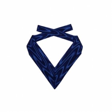 Past Provincial Order of The Secret Monitor AMD Collarette Dark Blue